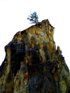 tree rock Rialto top seastack cbubar 2015