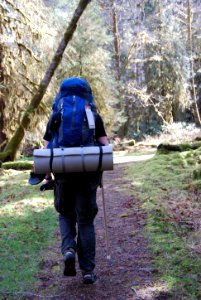 backpacking gear backcountry hiking camping visitor hoh rainforest d archuleta march 05 2015