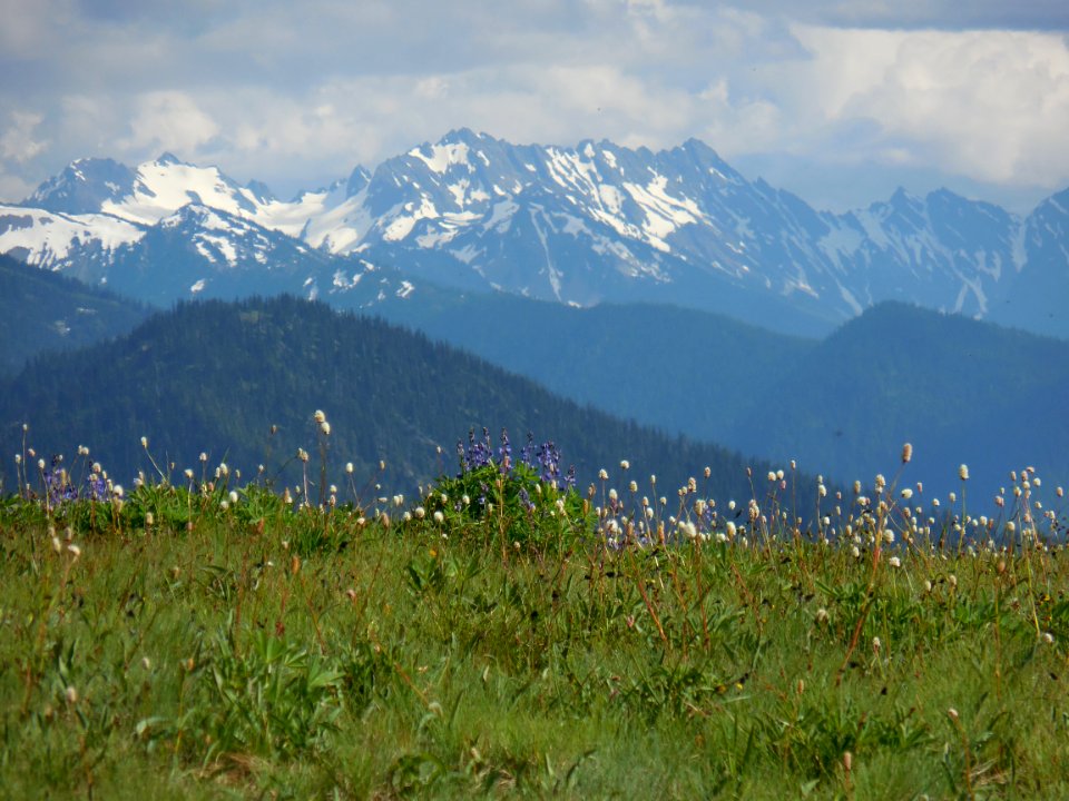 Hurricane Ridge mts cbubar