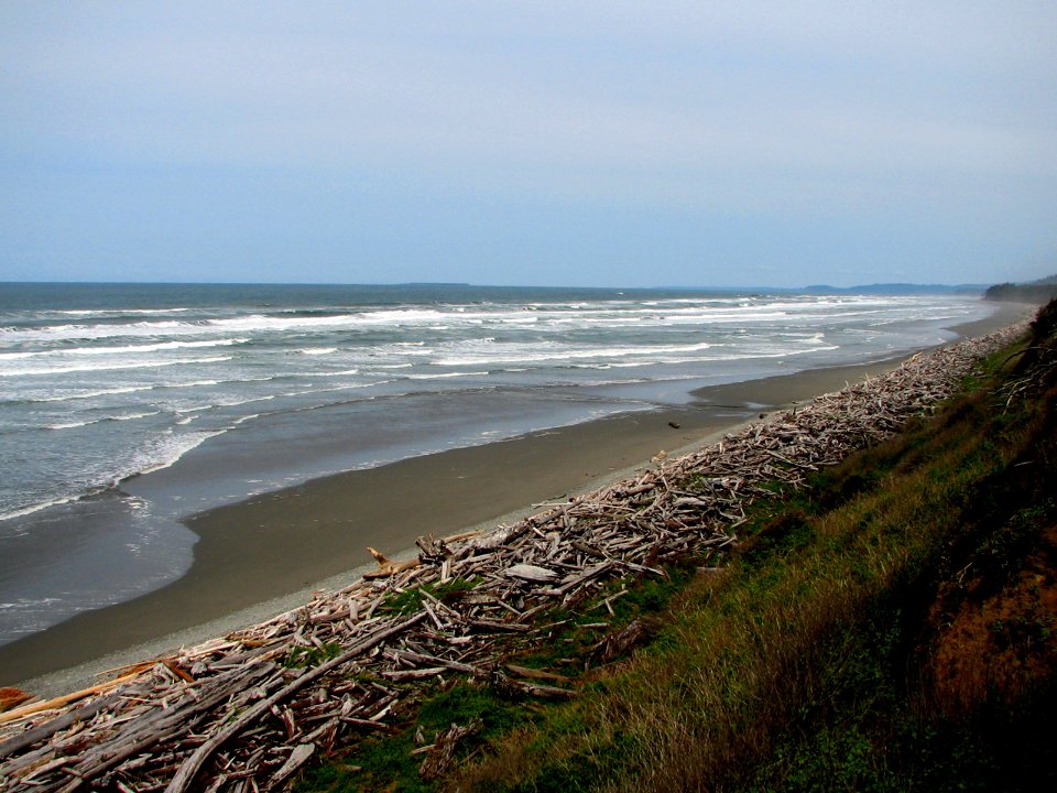 beach 1 looking north ssheltren nps photo