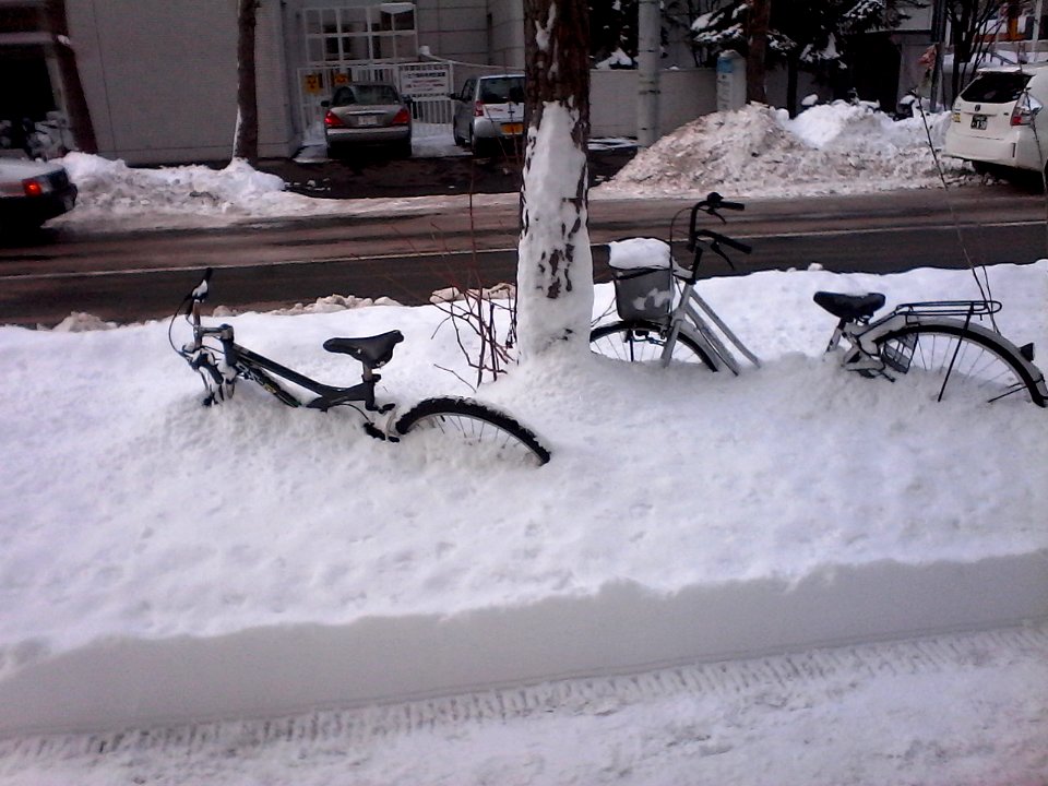 Snowy bikes photo
