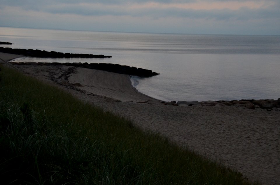 Back to the Ocean