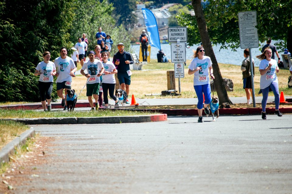 IschelleMartin-furry5k-289