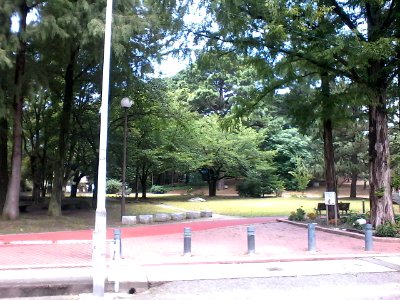 Nice lil' park hidden in a corner