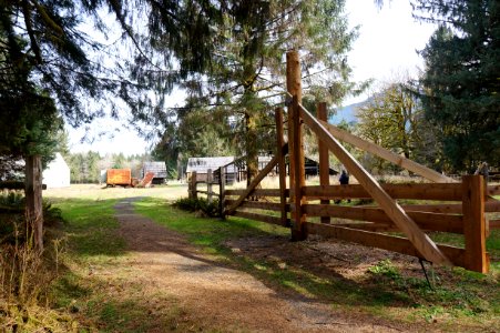 kestner homestead trail gates quinault rainforest historic r mckenna march 2015