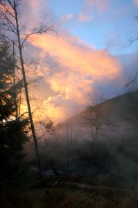misty morning river Hoh NPS Photo j Preston