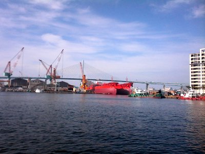 Port! Cranes! Bridges! Gigantic boats! photo