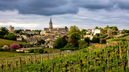 ST EMILION photo