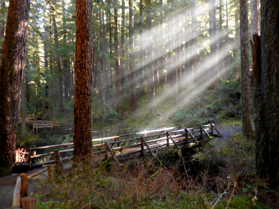 bridge sol duc falls forest scenic trail c bubar march 04-2015