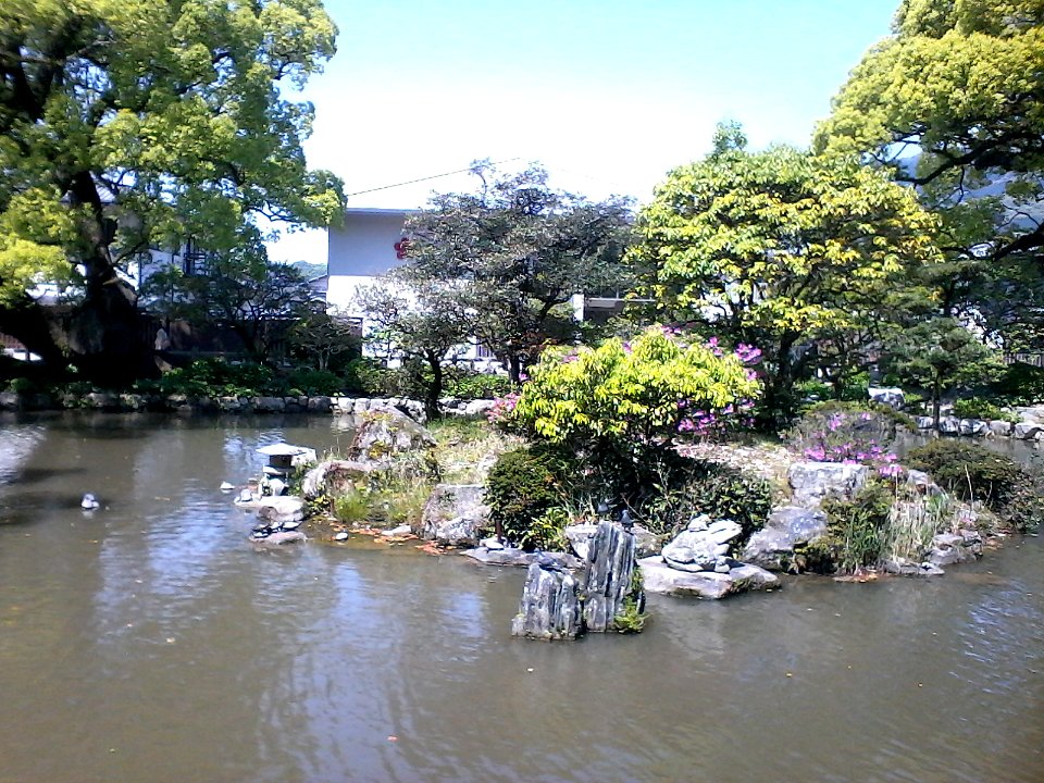 Pond. Can you see the turtles?