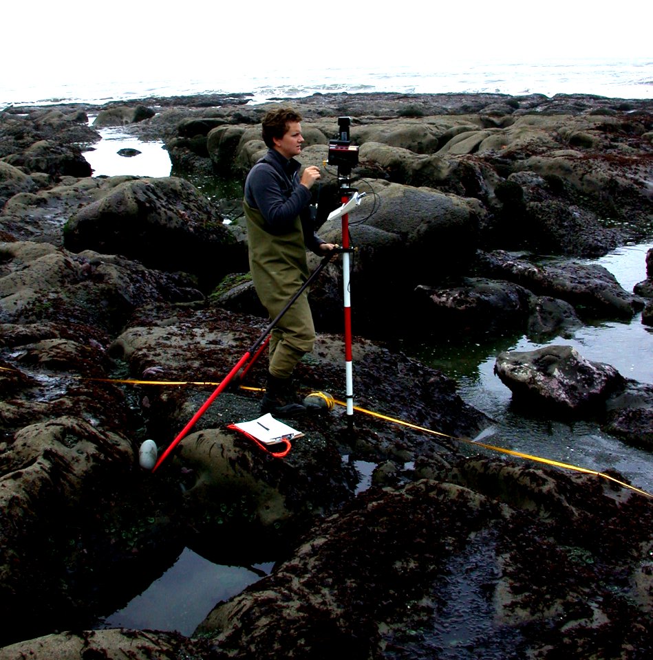 seastar Tube Worm Monitoring rangers working Science NPS Photo