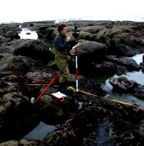 seastar Tube Worm Monitoring rangers working Science NPS Photo