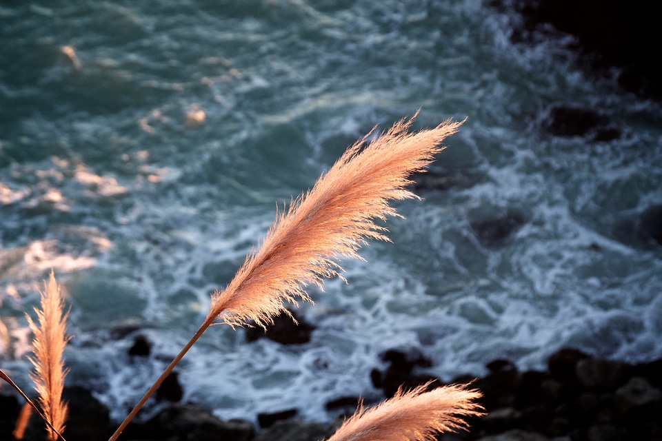 Ocean coast shore