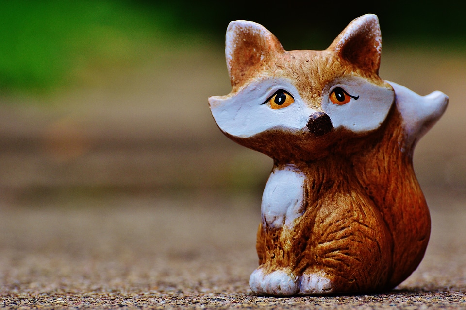 Animal animal world red fox