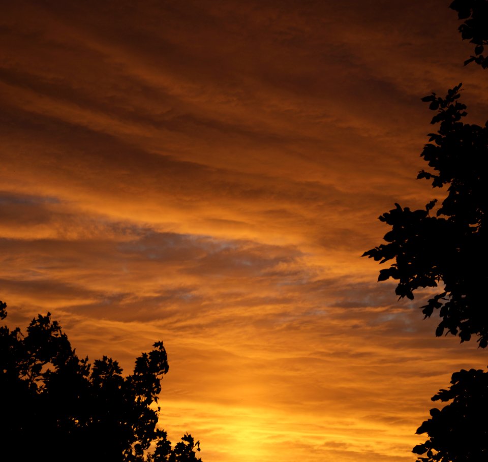 Cotton Sky photo