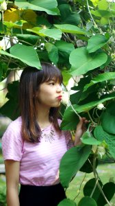 DSC03211