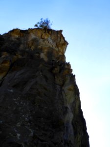close rock tree sky Rialto beach cbubar 2015