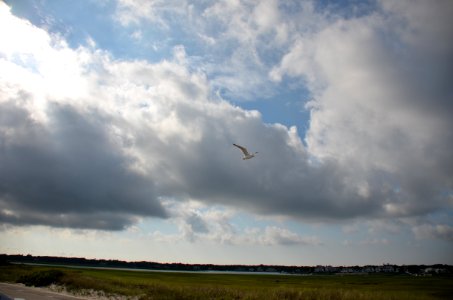Back to the Ocean