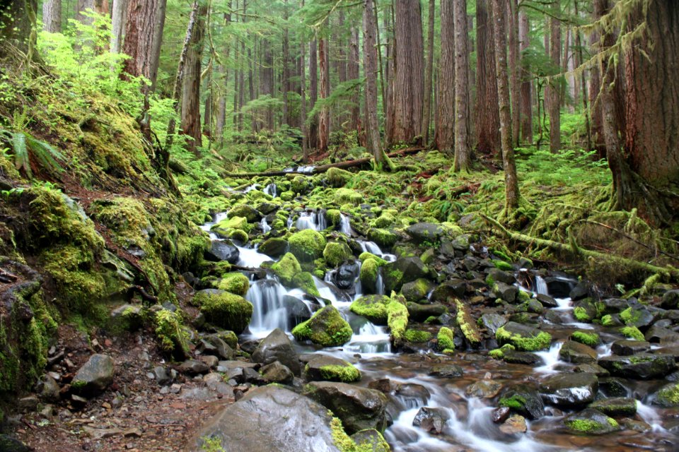 Waterfall by Pete Zaidel Please Credit