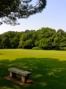 bench and green photo