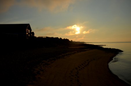 Back to the Ocean photo