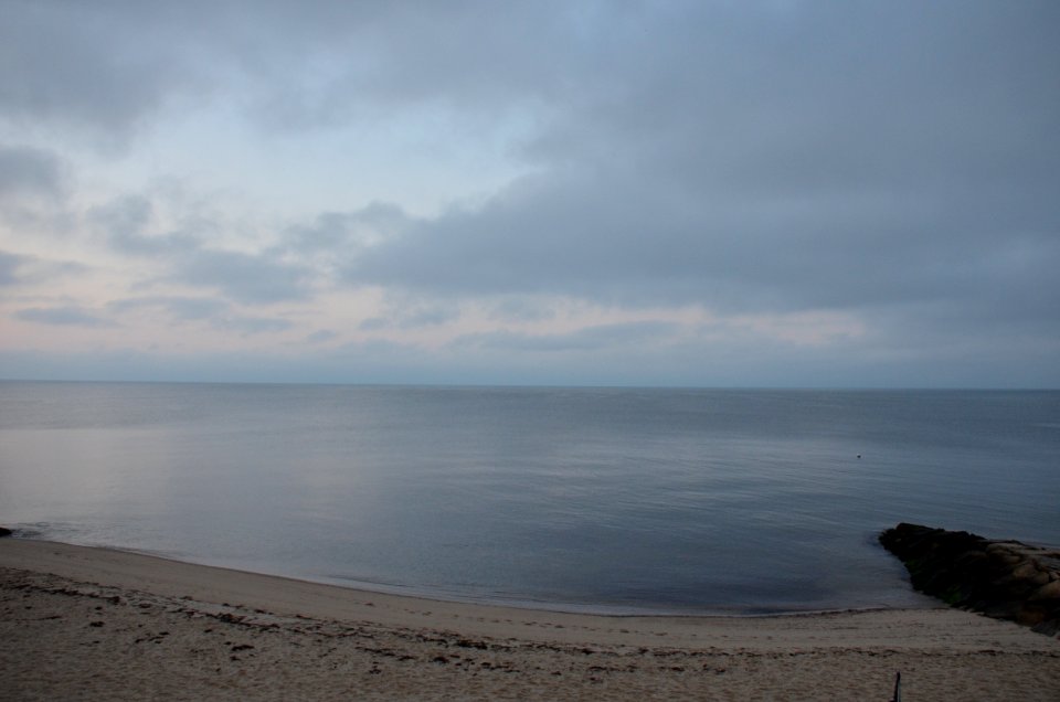 Back to the Ocean