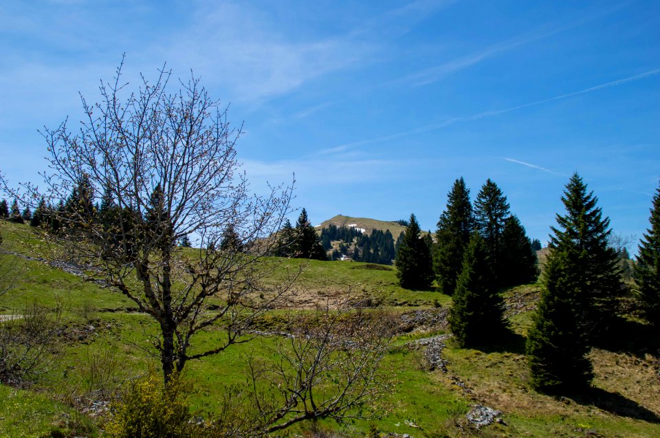 Randonnée des crêtes de Jura