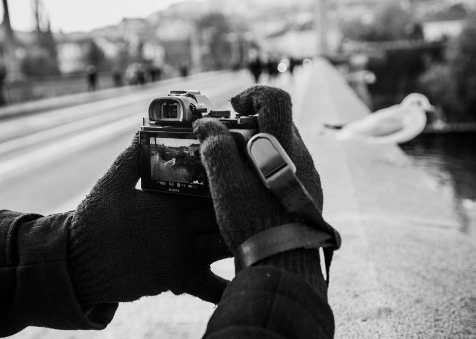 Capturing captured