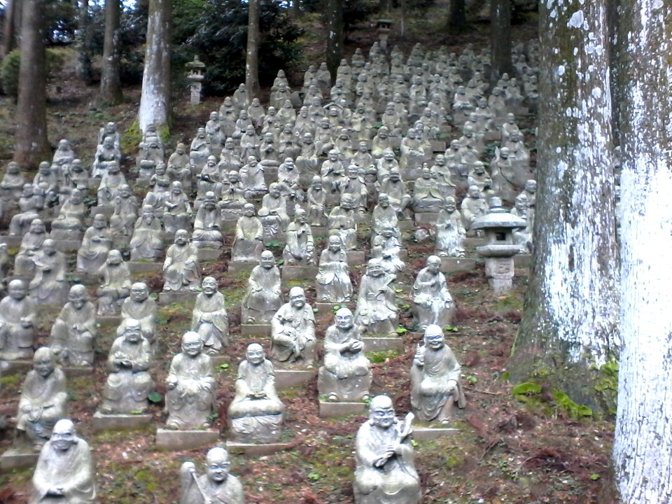 Can you spot the tanuki?