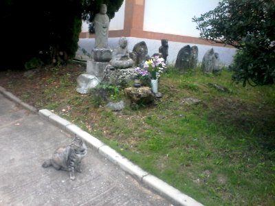 Nokoshima - Cat and statues