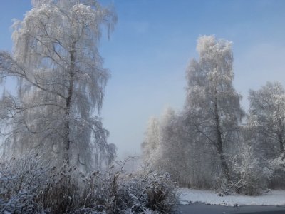 Winter Wonderland
