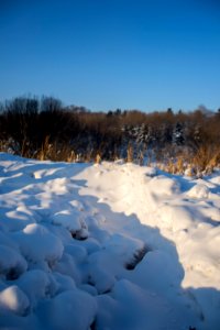 DSC 5068050116