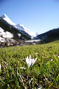 Mountains ve austria