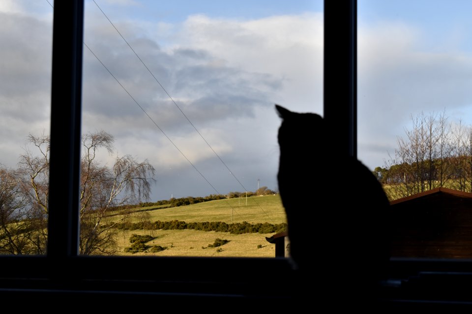 Into the distance