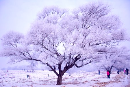harbin