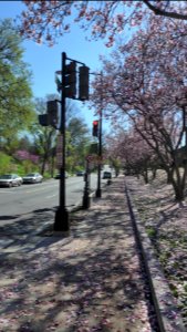 Reservoir Road @Georgetown Hospital
