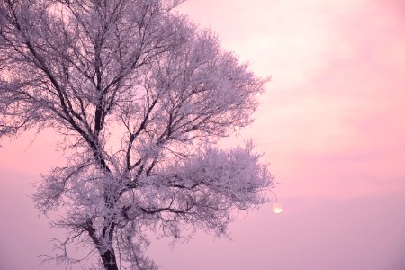 sun set
