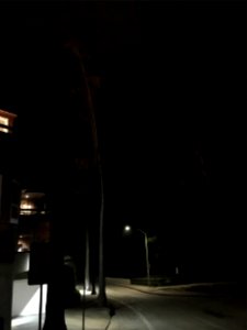 IMG 0557