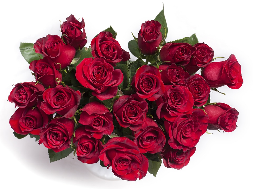 Red bouquet flowers