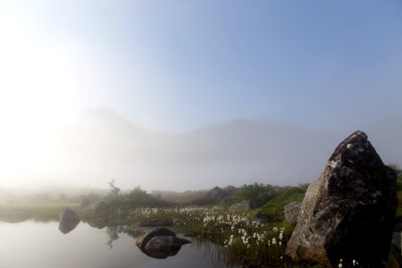 Fagerådalen, Lofoten