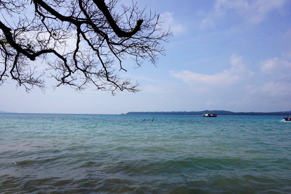 DSC02458
