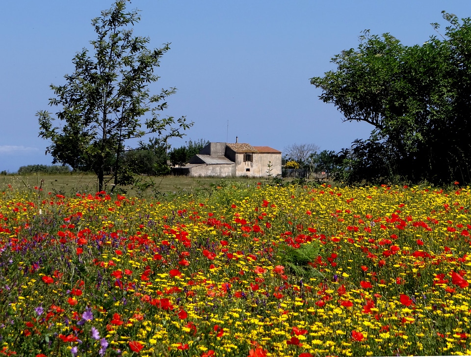 Colorful calabria summer