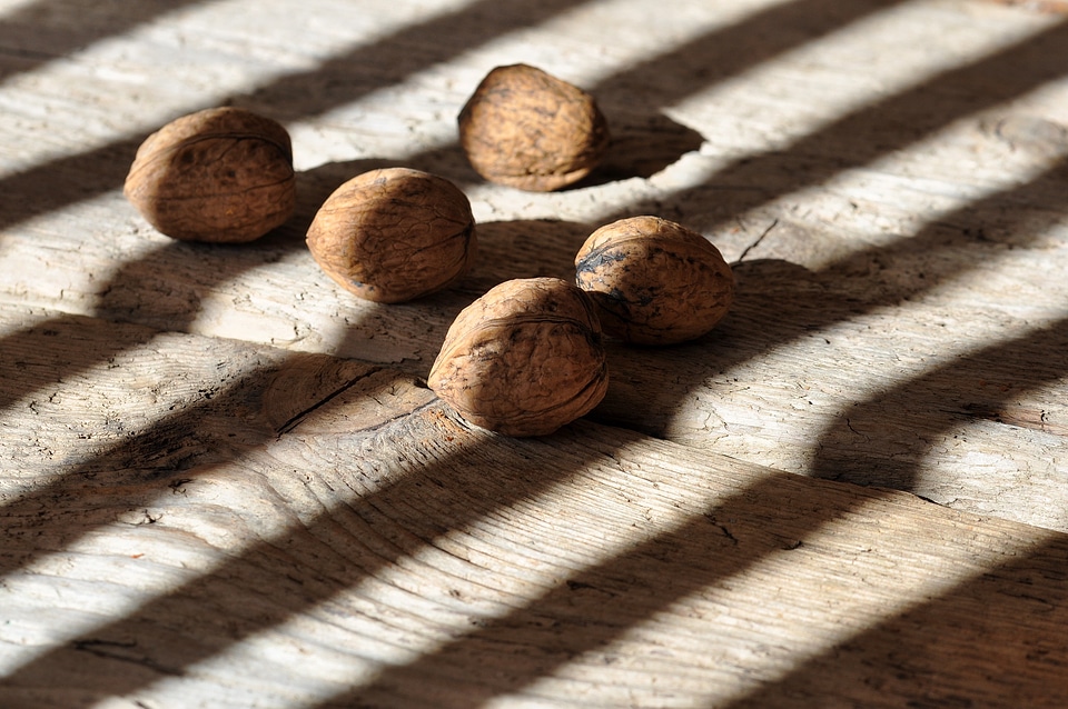 Delicious wood floor light and shadow