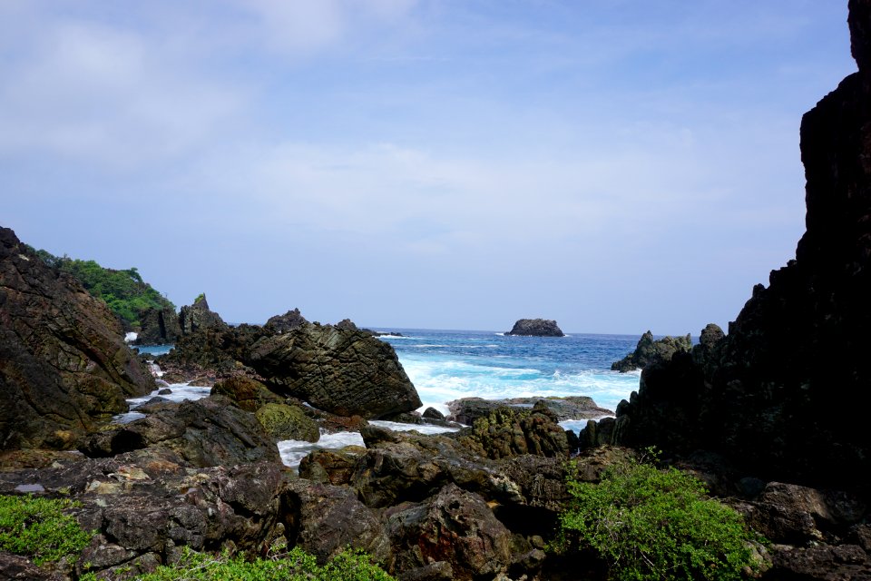 DSC02451