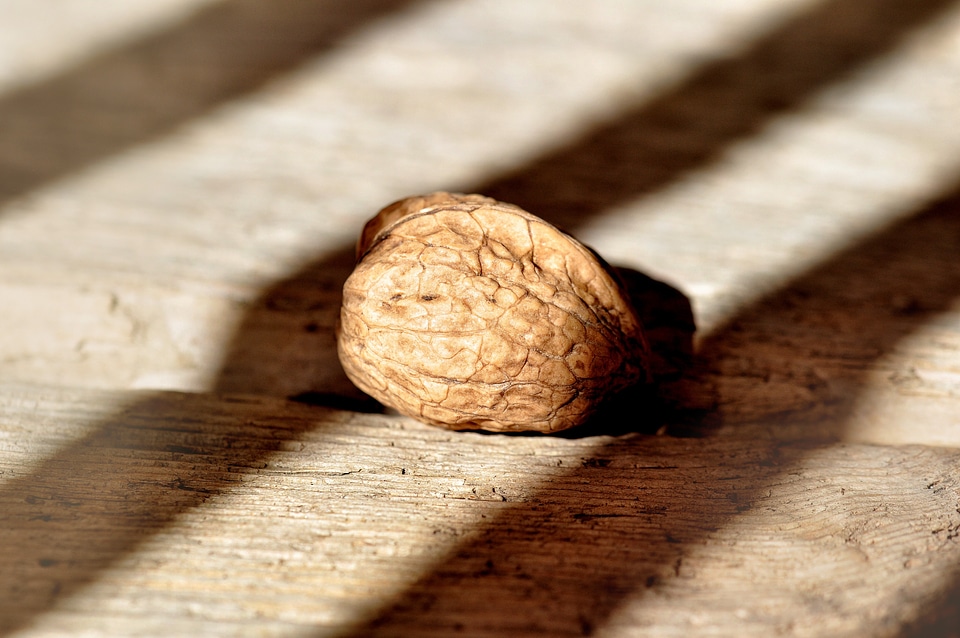 Food wood floor light and shadow