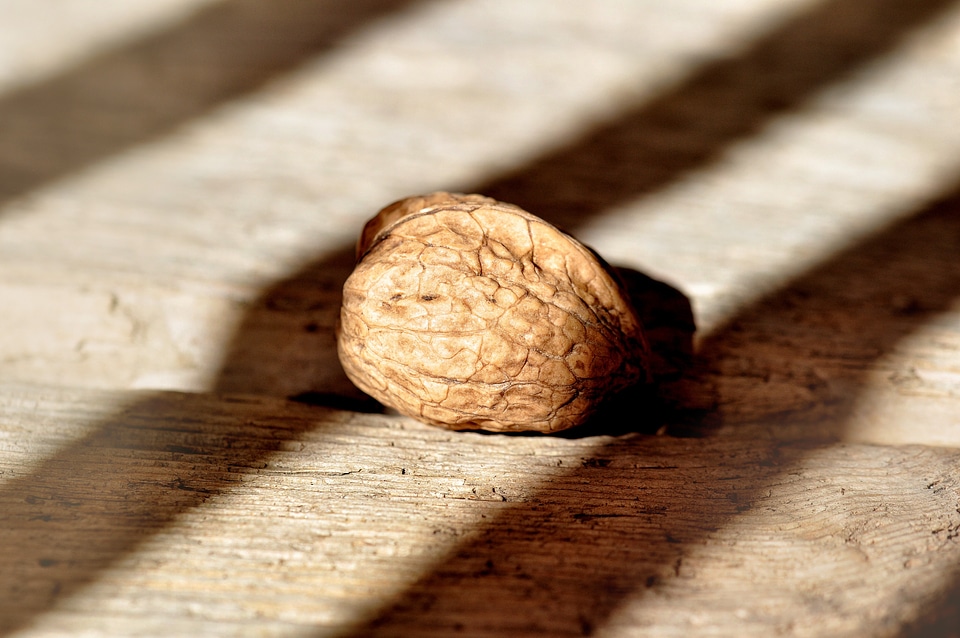 Food wood floor light and shadow photo