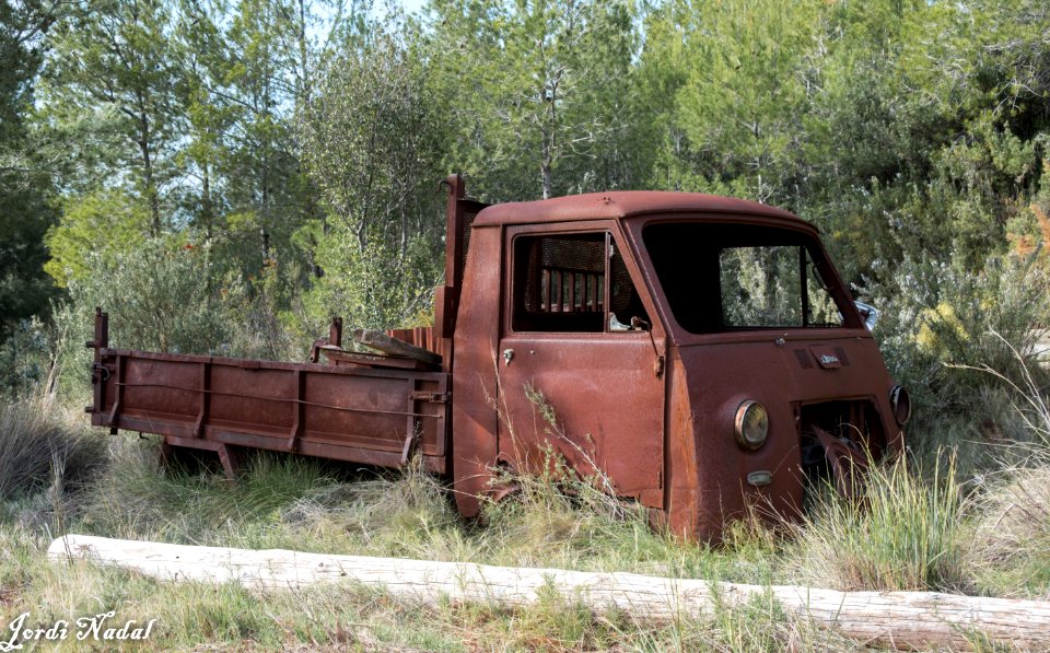 Camió rovellat - Rusty truck