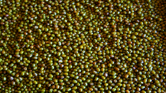 Frutos 00111