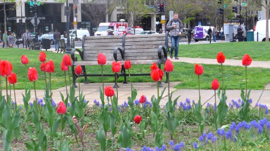 Farragut Square DC