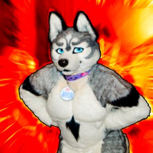 VF 2016 D3 C1 048sfx